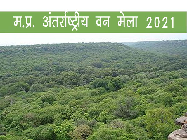 अंतर्राष्ट्रीय वन मेला मध्यप्रदेश :मुख्यमंत्री श्री चौहान करेंगे 22 दिसंबर को अंतर्राष्ट्रीय वन मेले का शुभारंभ। MP Van Mela 2021