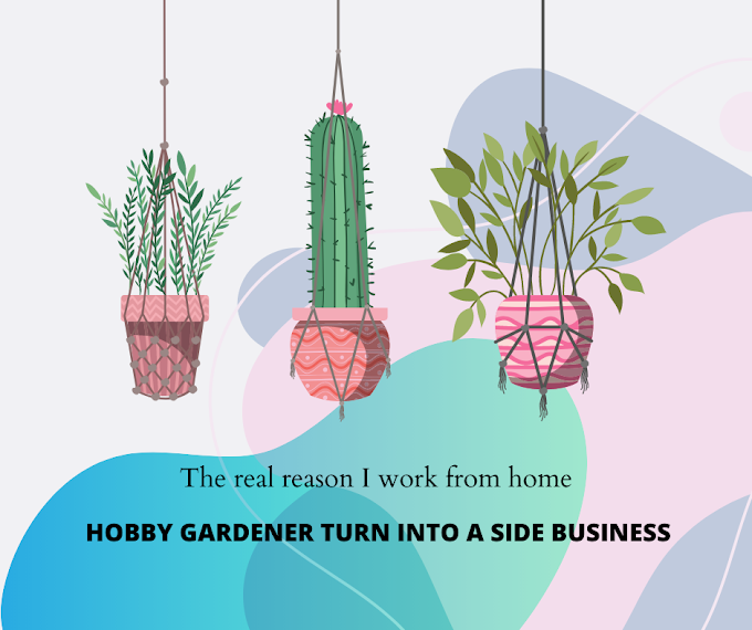 Best Practices For HOBBY GARDENER TURN INTO A SIDE BUSINESS OPPORTUNITY