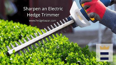 Sharpen an Electric Hedge Trimmer