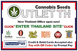 Buy Marijuana Seeds in Thailand - Fast Delivery - Top Breeders