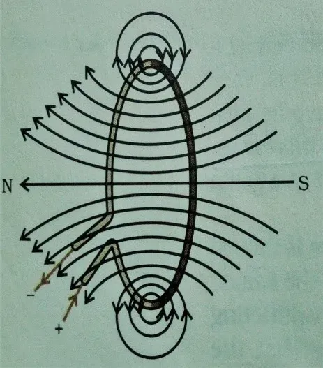 he direction of the magnetic field inside and outside the circular loop.