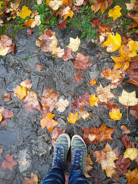 The end. Leaves in Rastoke, Croatia.