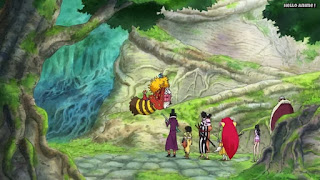 ワンピースアニメ ゾウ編 768話 くじらの樹 | ONE PIECE Episode 768