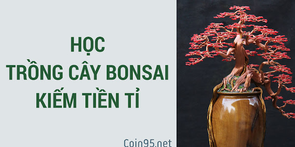 Học trồng cây Bonsai kiếm tiền tỉ