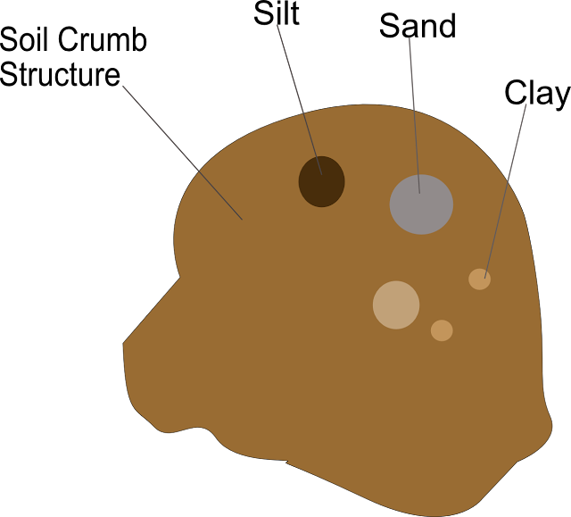 Sand, clay or silt will stick to the surface of humus, they form Soil crumb structure. If your soil has too much sand, humus will make it holding more water. If your soil has too much clay, the crumb will help it store more air.