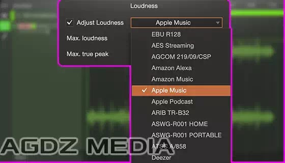 Target Loudness on Digital Release