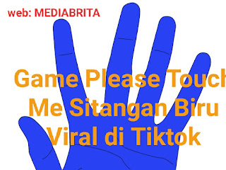 GEGER di Tahun 2022! Game Please Touch Me Sitangan Biru Viral di Tiktok, Penasaran Begini Cara Mainnya!