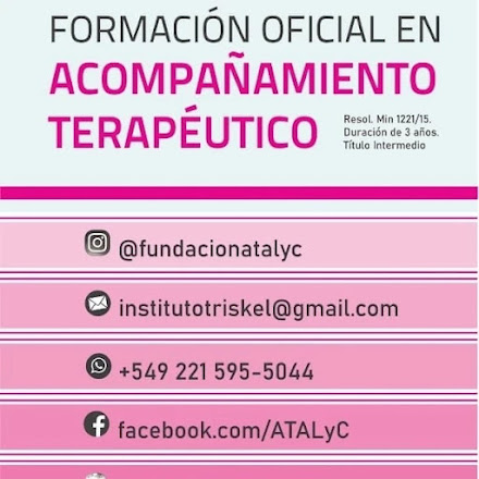 INSTITUTO TRISKEL