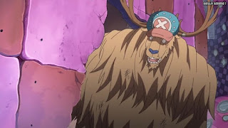 ワンピースアニメ WCI編 815話 チョッパー モンスターポイント | ONE PIECE Episode 815