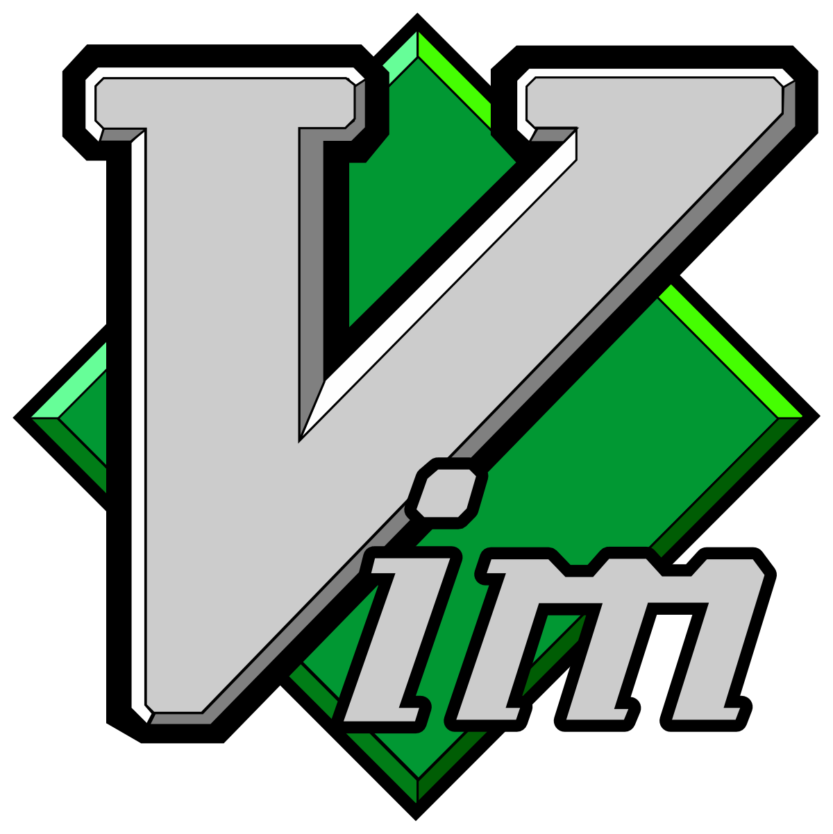 Vim un editor de texto especial