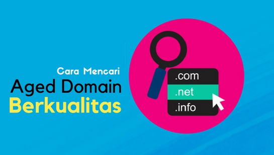 15 Cara Mencari Aged Domain Hight Authority Dan Berkualitas