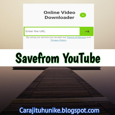 Savefrom TikTok : Download Video TikTok Tanpa Watermark
