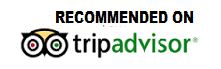 Tripadvisor Reviews