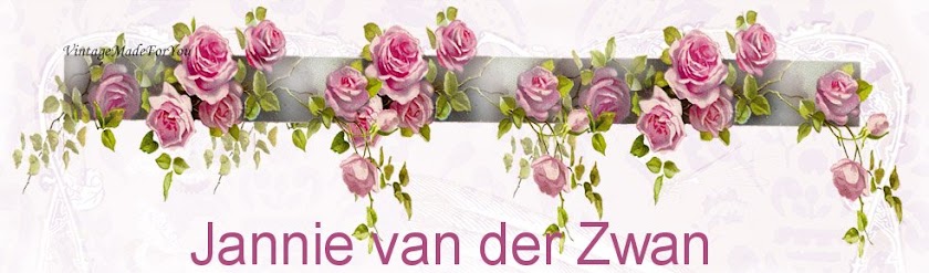 Jannie van der Zwan