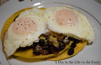 Huevos Rancheros