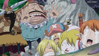 ワンピースアニメ WCI編 797話 パウンド Pound | ONE PIECE Episode 797