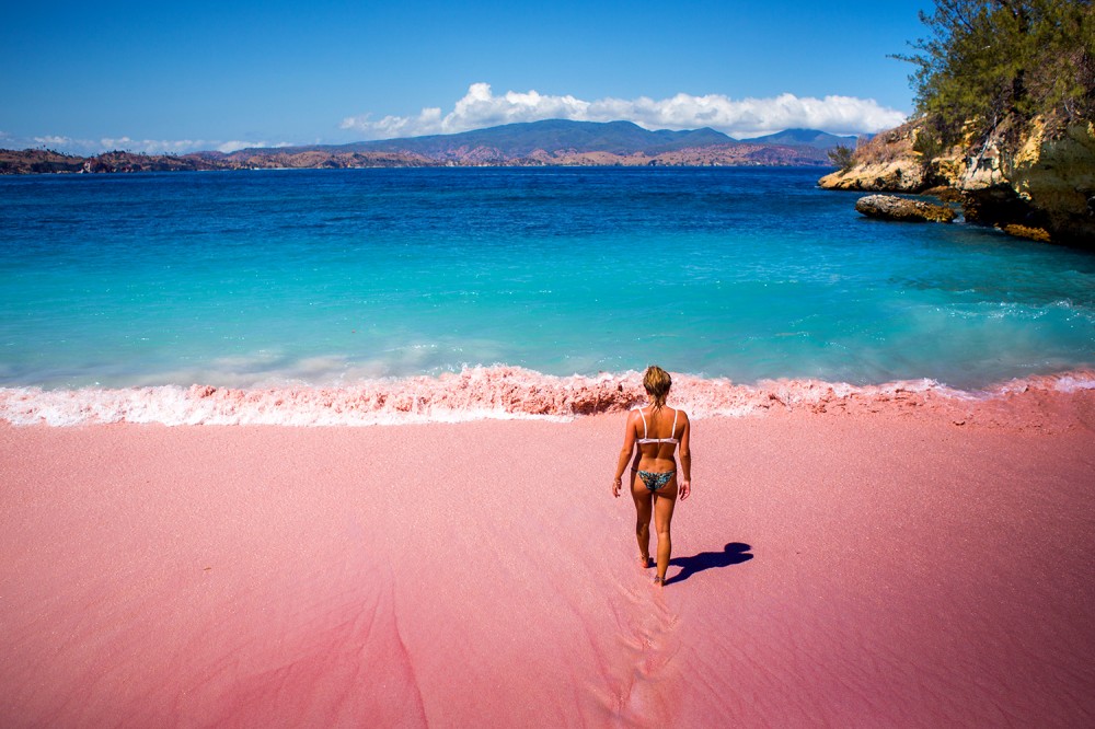 5 Pantai Pink Yang Indah Di Indonesia Yang Wajib Diketahui