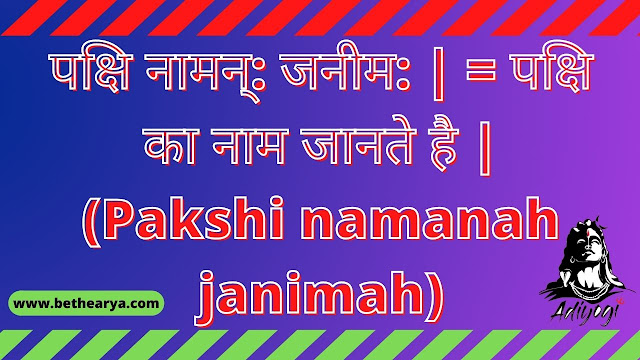 पक्षि नामन्: जनीम: | = पक्षि का नाम जानते है | (Pakshi namanah janimah)