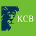 KCB Bank Tanzania Jobs Business Performance Analyst 