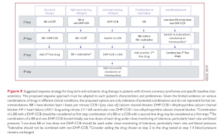 Long-term Anti-ischaemic Drug Therapy