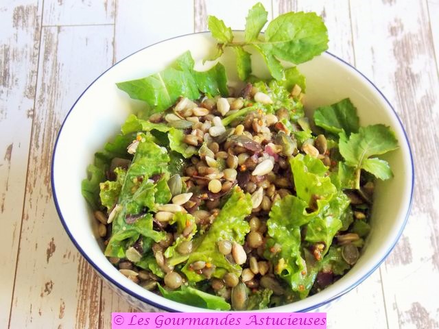 Salade de chou aux lentilles (Vegan)