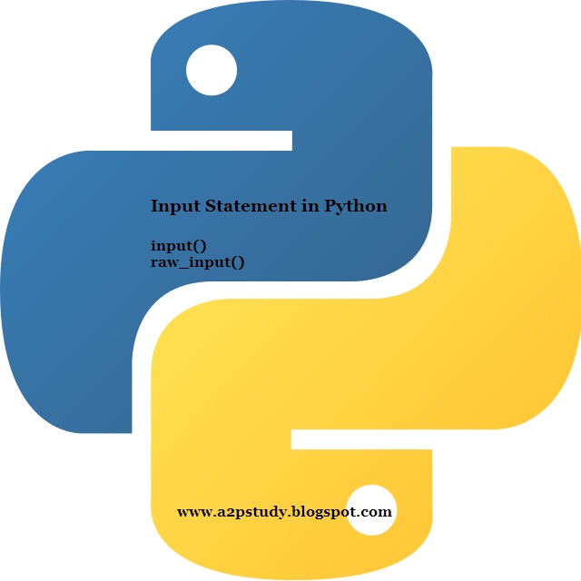 Input Function in Python