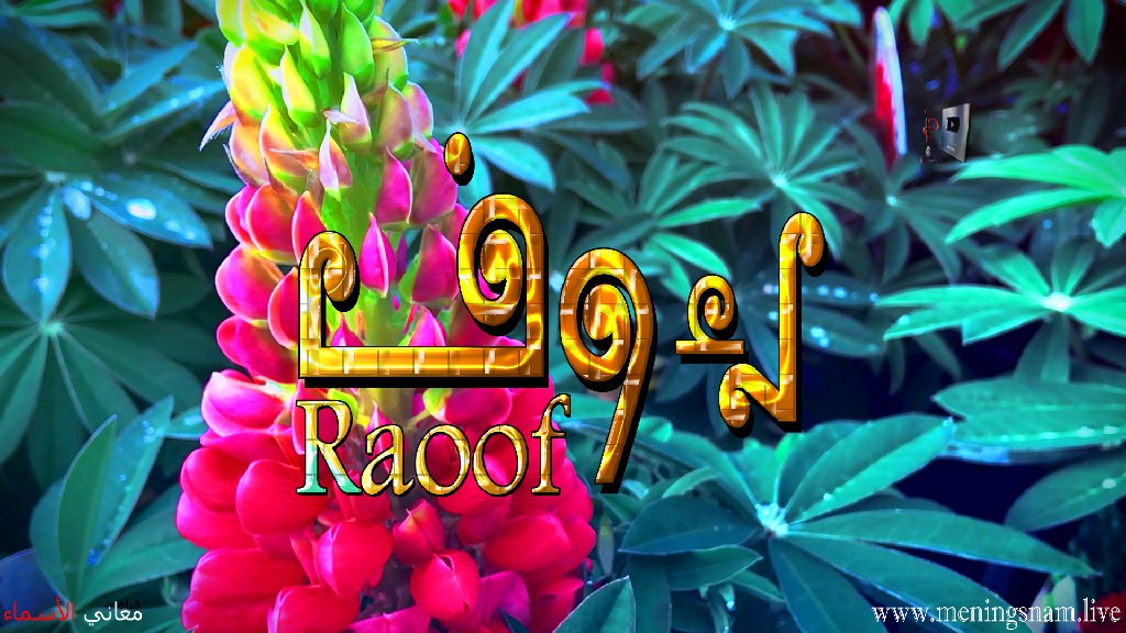 معنى اسم رؤوف, وصفات حامل, هذا الاسم, Raoof,