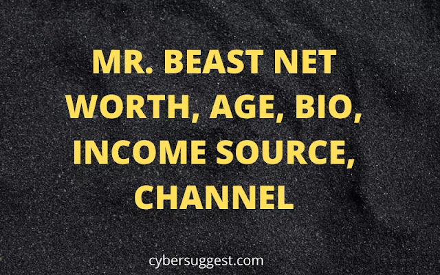 MR. BEAST NET WORTH, AGE, BIO, INCOME SOURCE, CHANNEL