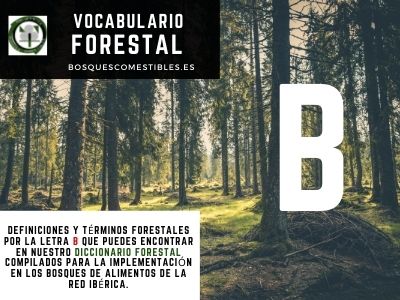Vocabulario B, Silvicultura en España