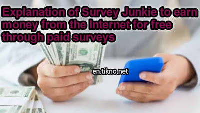 Survey Junkie Website to earn money