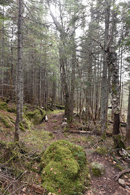 Sentier des Caps pathway on TCT.