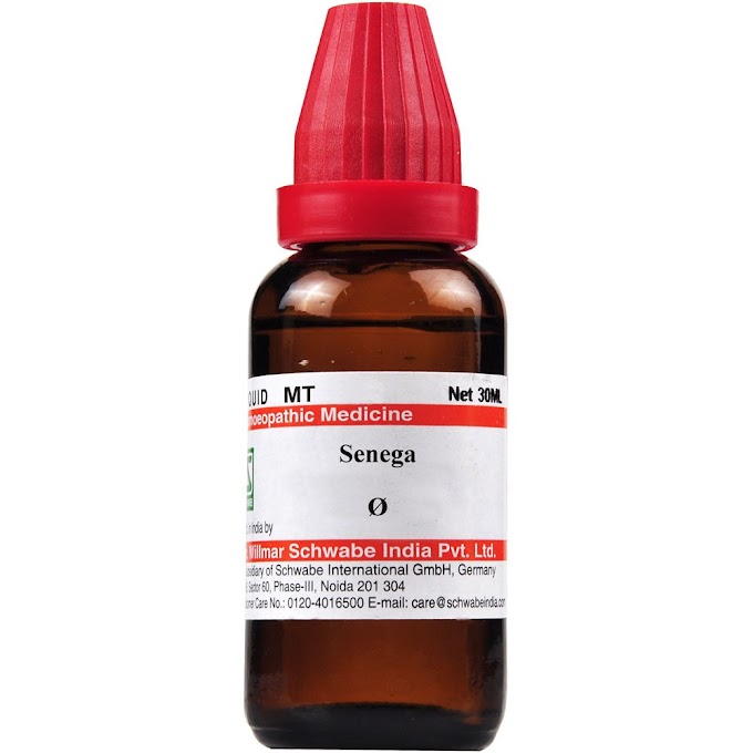 Dr.Willmar Schwabe India Senega Mother Tincture Q Benefit and Uses