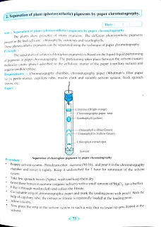 Practical Notebook Biology Standard XII