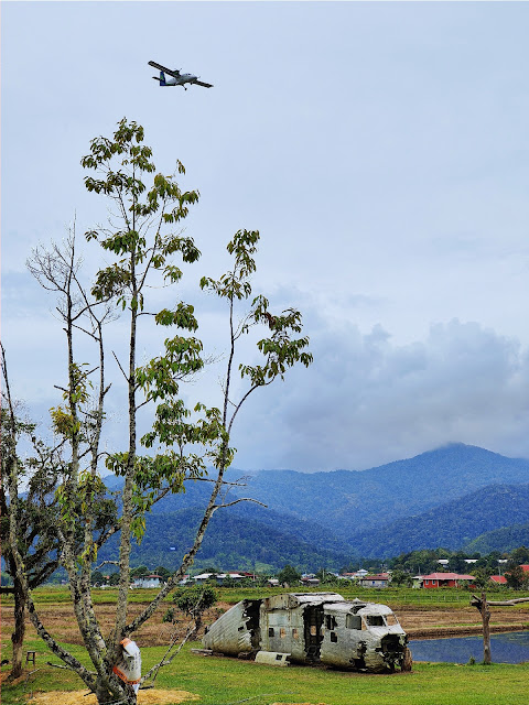 Nancy_Harriss_Homestay_Bario_Sarawak_Twin_Pioneer_Aircraft_Wreck