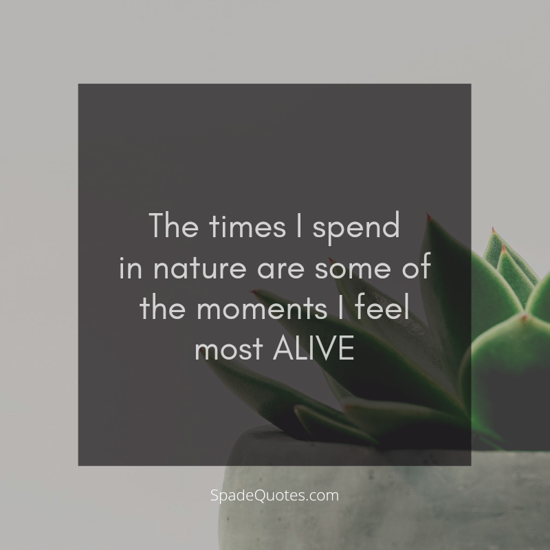 Alive-in-nature-quotes-Cute-Nature-Captions-for-Instagram-SpadeQuotes