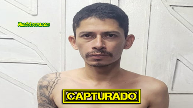 El Salvador: Capturan a alias «Geco», peligroso pandillero de la MS13 fue arrestado por la policía