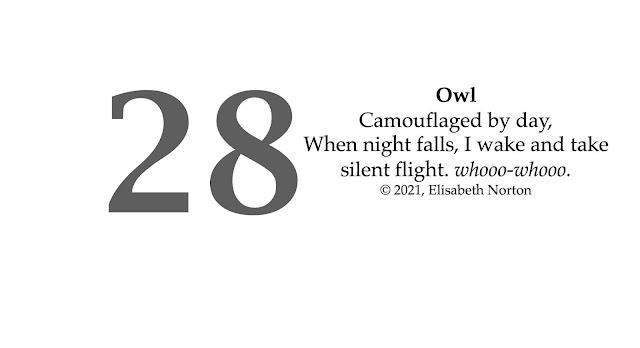 Spooktober Poem 28: Owl Camouflaged by day, When night falls, I wake and take silent flight. whooo-whooo. © 2021, Elisabeth Norton