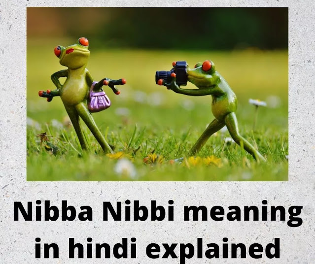 Nibba Nibbi meaning in hindi