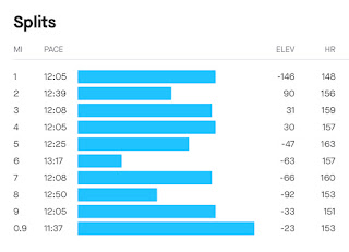 Screenshot of my splits: Mile 1: 12:05, 2: 12:39, 3: 12:08, 4: 12:05, 5: 12:25, 6: 13:17, 7: 12:08, 8: 12:50, 9: 1205, 10: 11:37