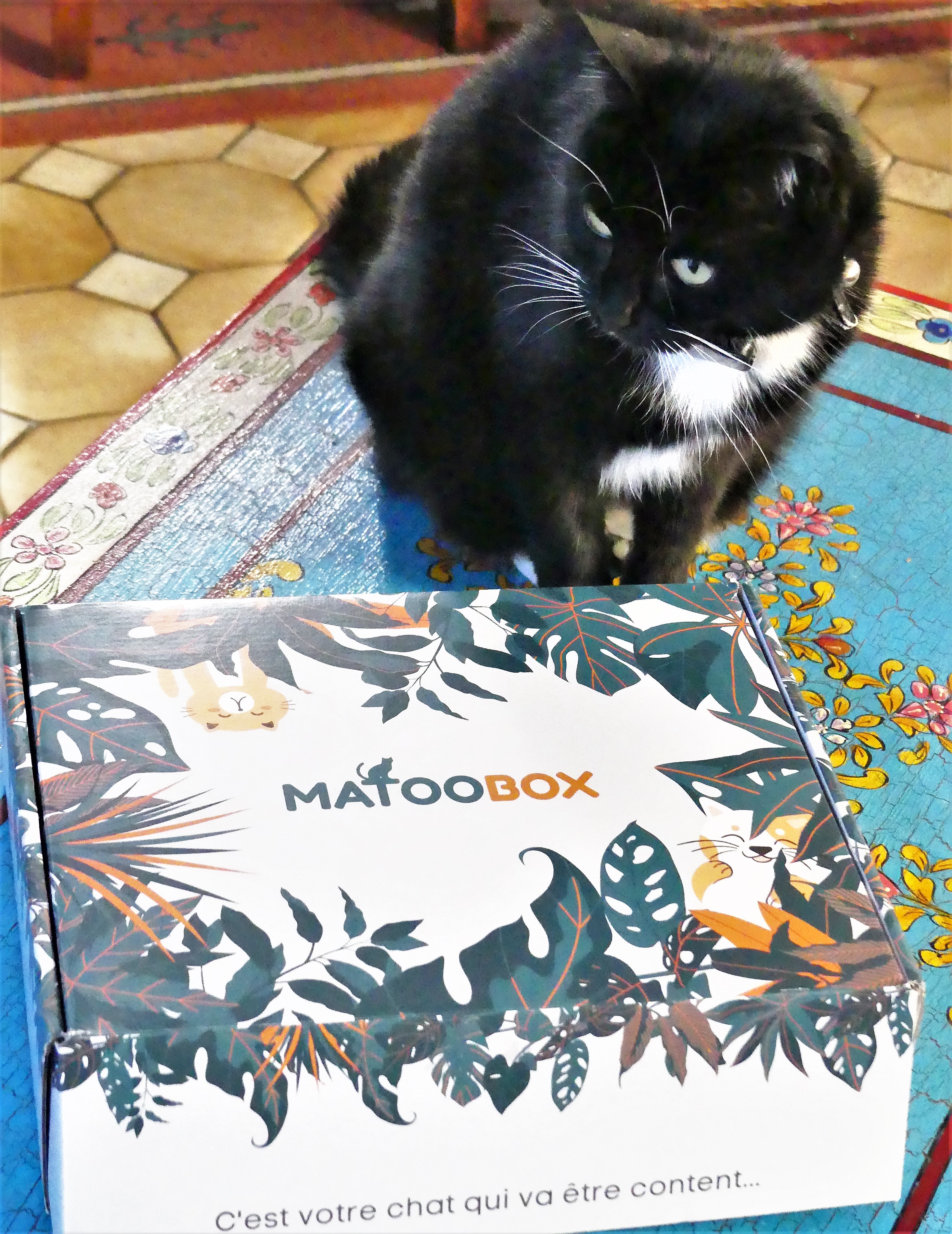 Matoobox