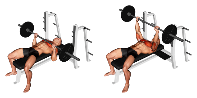 Barbell Bench Press