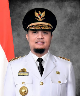 Gubernur Sulsel Andi Sudirman