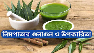 নিমপাতার গুনাগুন ও উপকারিতা
