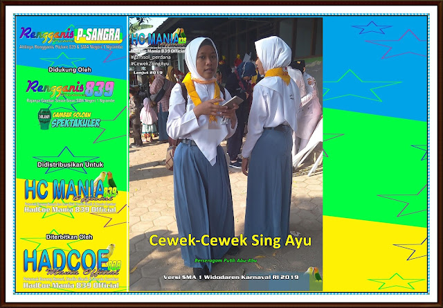GamSol Perdana - Gambar SMA N 1 Widodaren Cover Putih Abu-Abu 2019