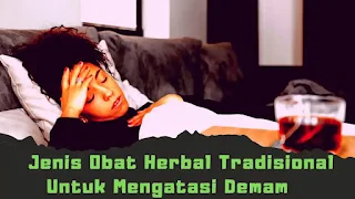 tanaman herbal penurun panas