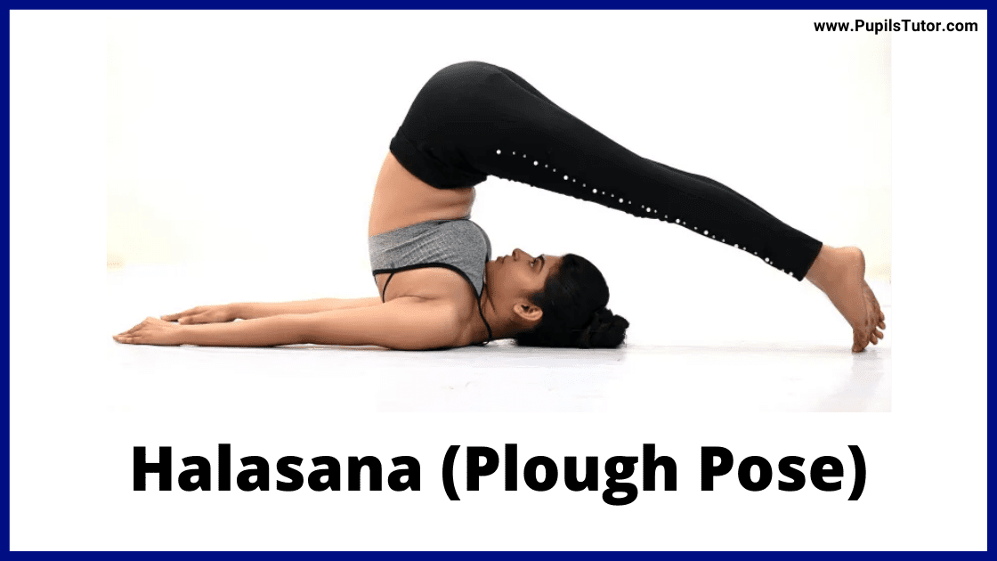 Halasana (Plough Pose)