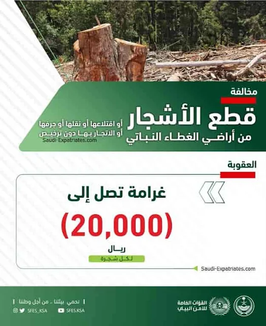 20,000 riyals fine for Cutting, Uprooting, Transporting, destroying or Trading a Tree without a license - Saudi-Expatriates.com