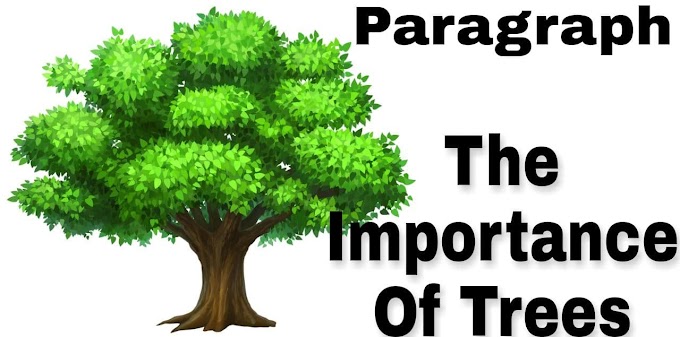 The Importance of Trees Paragraph