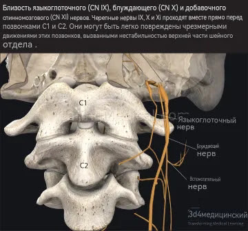 ЦЕРВИКОГЕННАЯ ИЛИ ЦЕРВИКАЛЬНАЯ СТЕНОКАРДИЯ