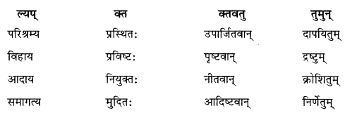 Solutions Class 10 शेमुषी भाग 2 Chapter-8 (विचित्रः साक्षी)